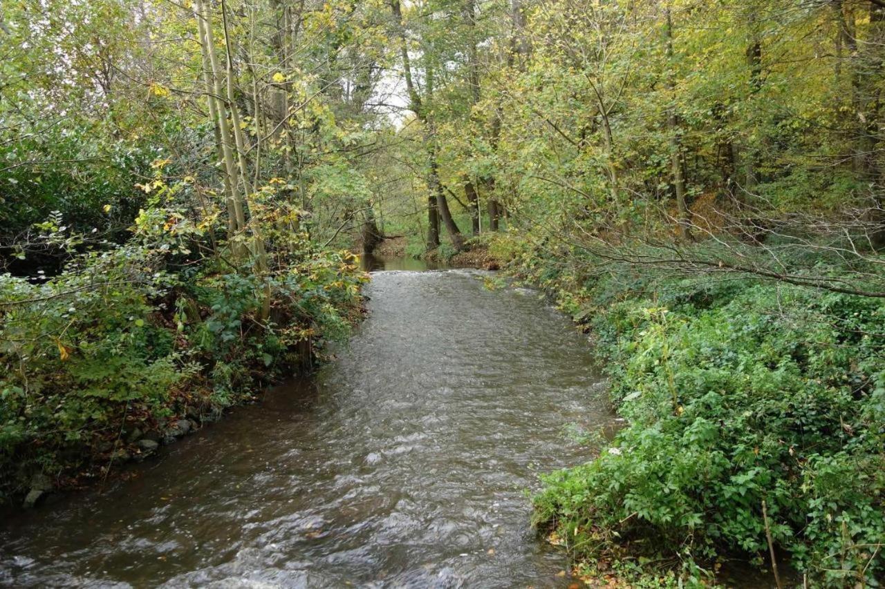 Landhotel Burkartsmühle Hofheim am Taunus Exteriör bild